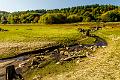 2017_10_15_Chamboux (0149')
